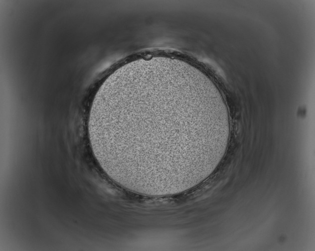 X0000101991159200808081628