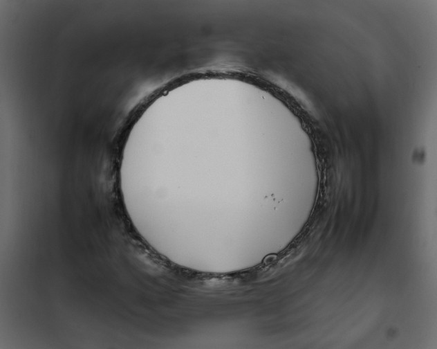 X0000101991160200808081628