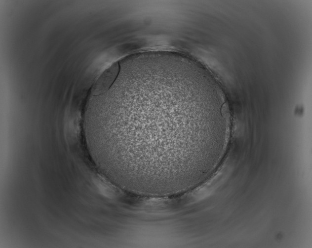 X0000101991161200808081628