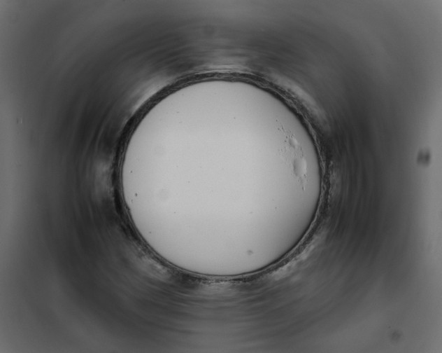 X0000101991162200808081628