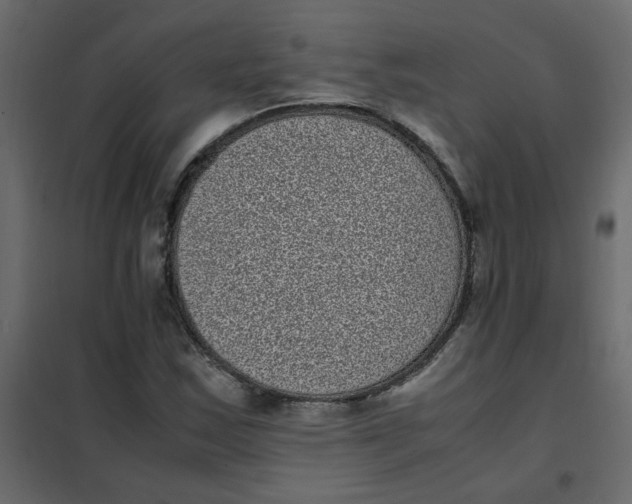 X0000101991163200808081628