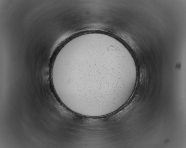 X0000101991164200808081628