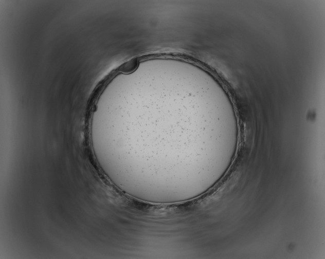 X0000101991165200808081628