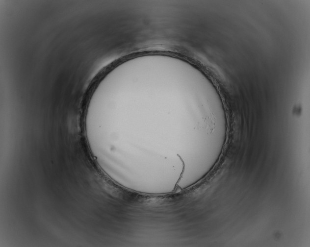 X0000101991166200808081628