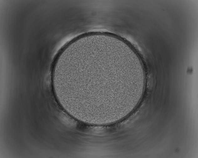 X0000101991167200808081628