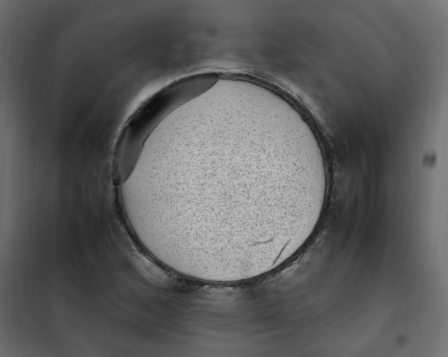 X0000101991168200808081628