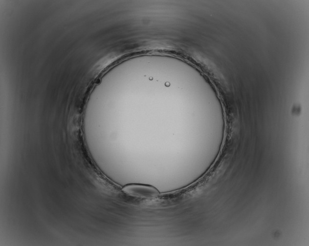 X0000101991169200808081628