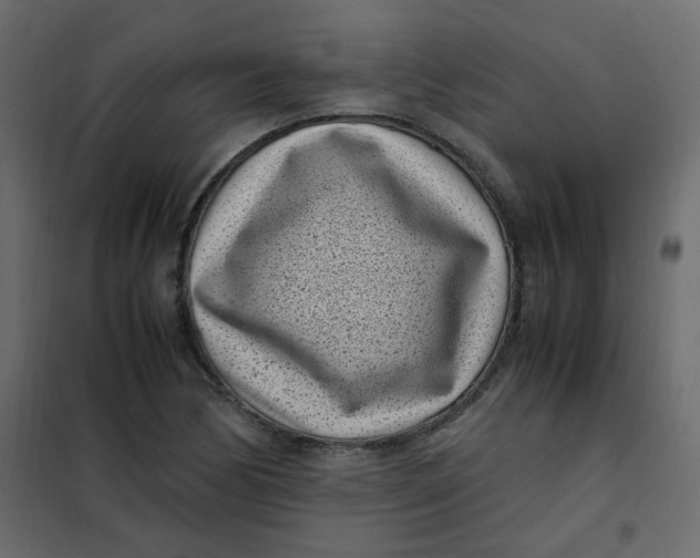 X0000101991170200808081628