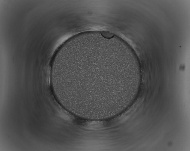 X0000101991171200808081628