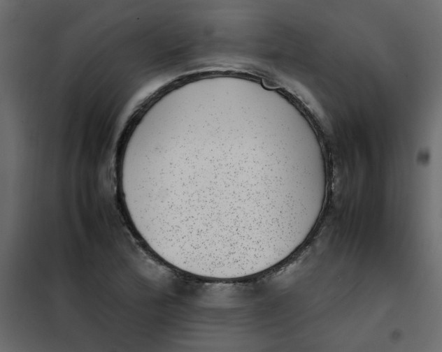 X0000101991172200808081628