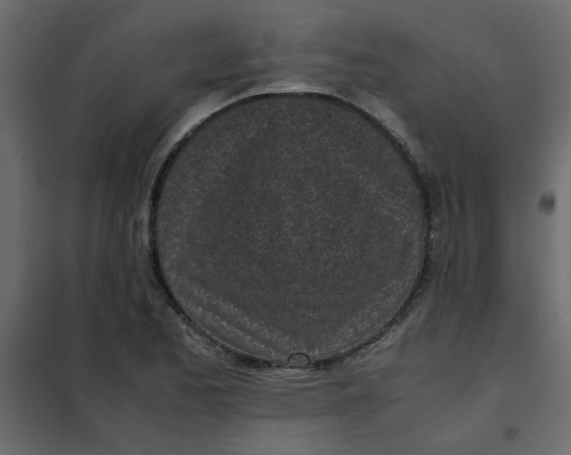 X0000101991173200808081628