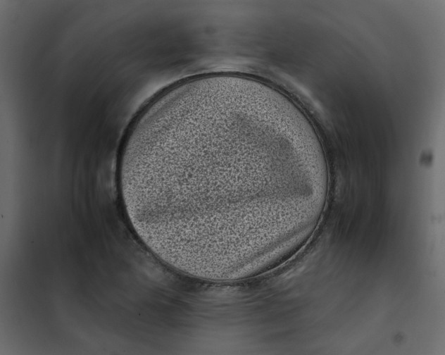 X0000101991174200808081628