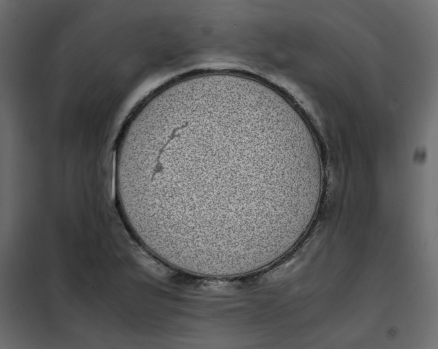 X0000101991175200808081628