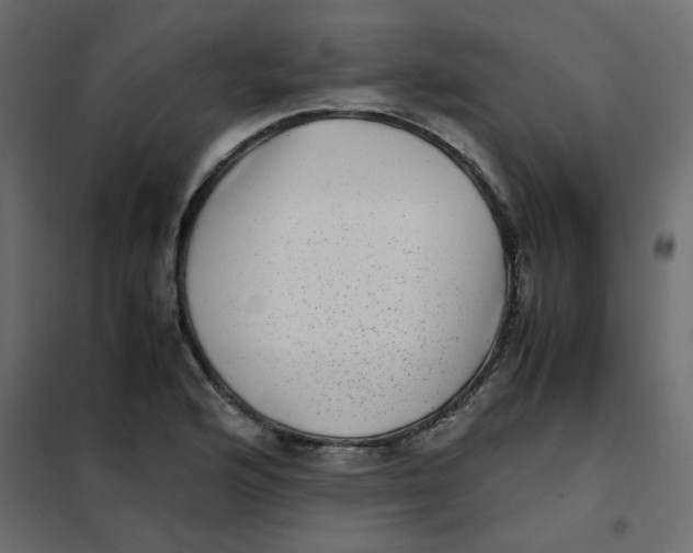 X0000101991176200808081627