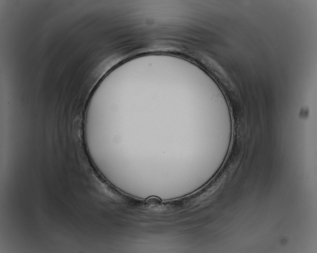 X0000101991177200808081627