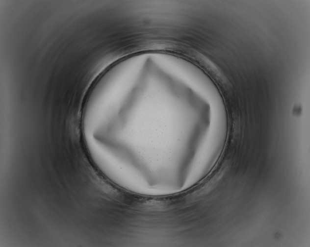 X0000101991178200808081627