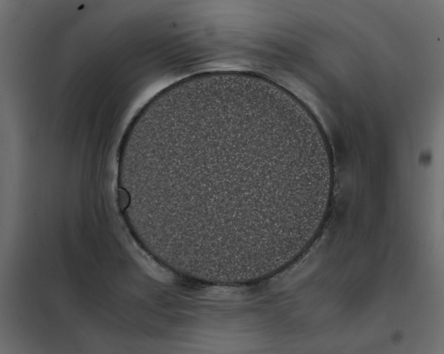 X0000101991179200808081627