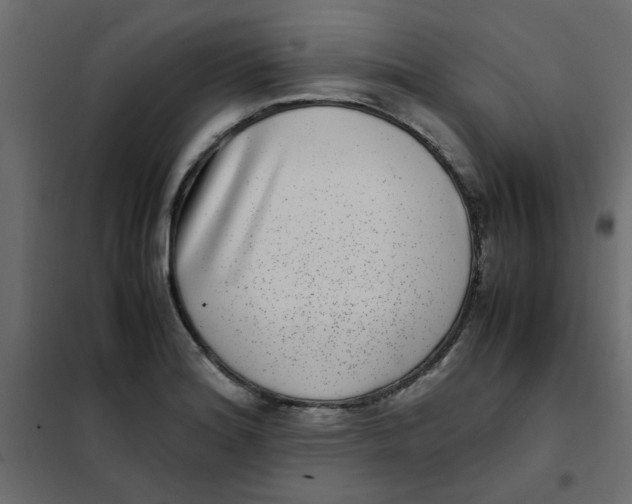 X0000101991180200808081627