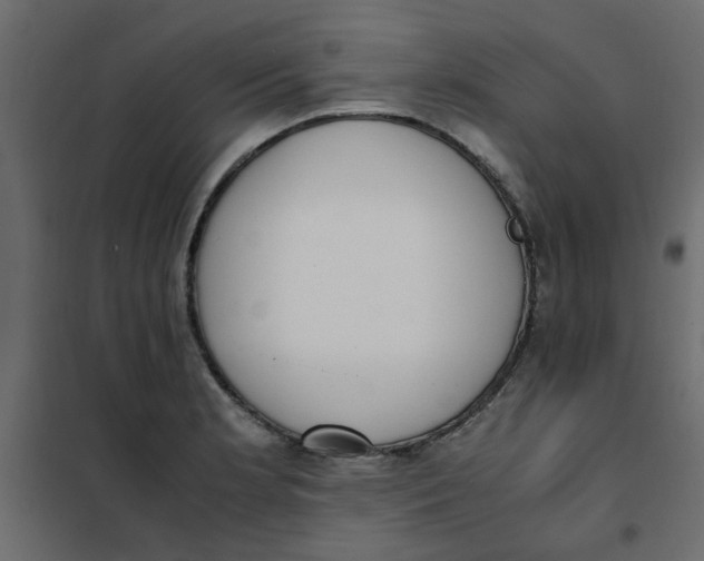 X0000101991181200808081627