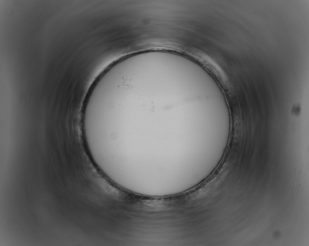 X0000101991182200808081627