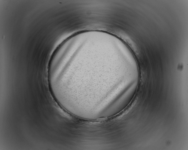 X0000101991184200808081627