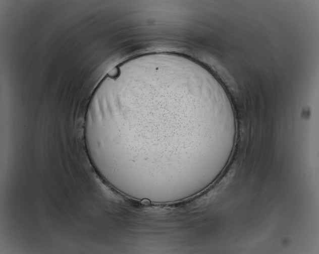 X0000101991185200808081627