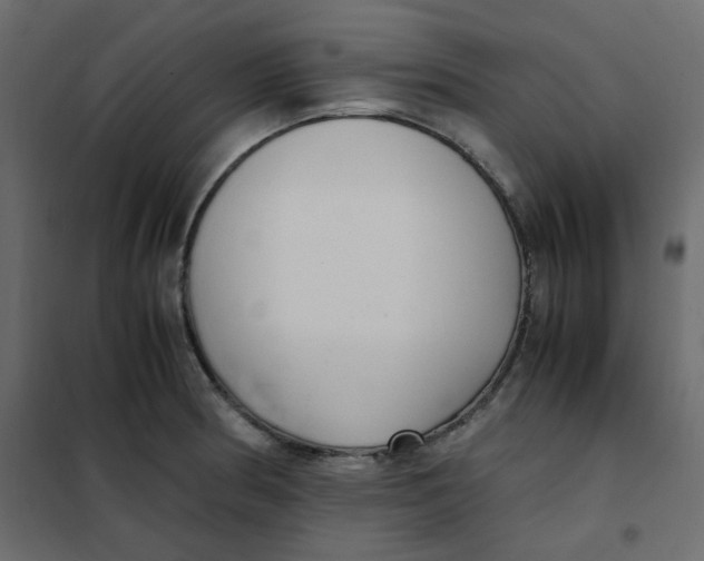 X0000101991186200808081627