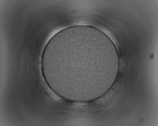 X0000101991187200808081627