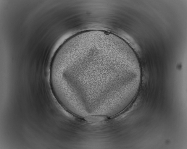 X0000101991188200808081627