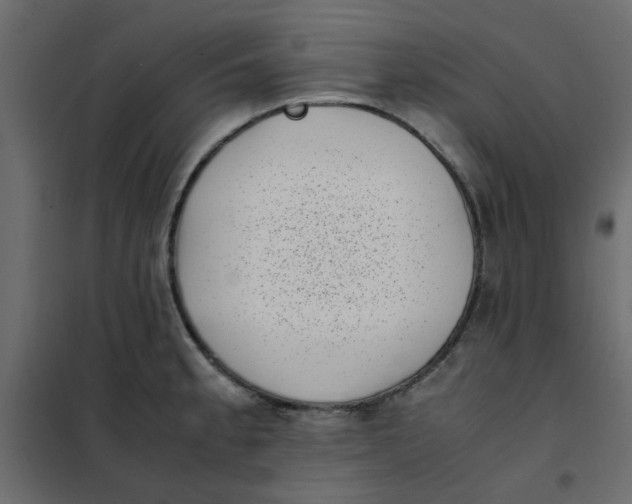 X0000101991189200808081627