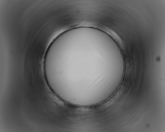 X0000101991190200808081627