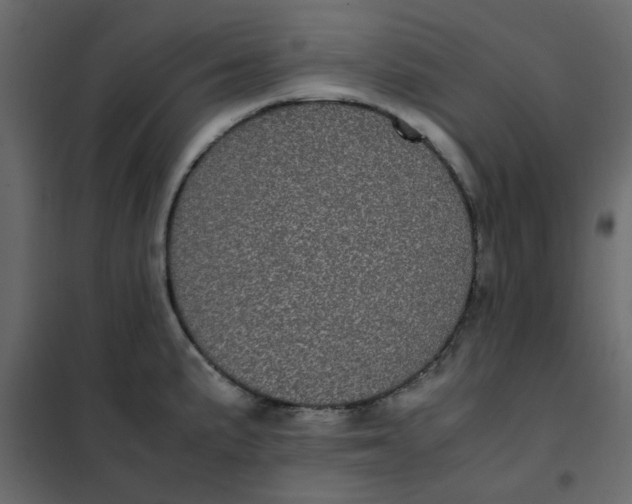 X0000101991191200808081627