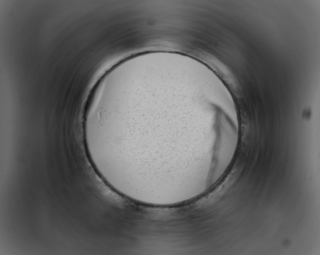 X0000101991192200808081627