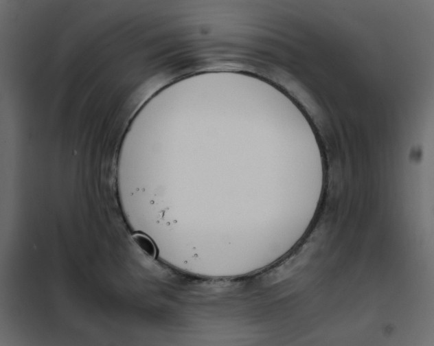 X0000101991193200808081627