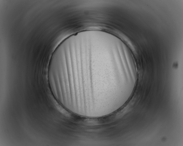 X0000101991194200808081627