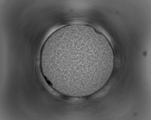 X0000101991195200808081627