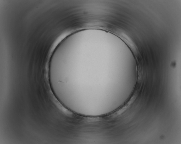 X0000101991196200808081627