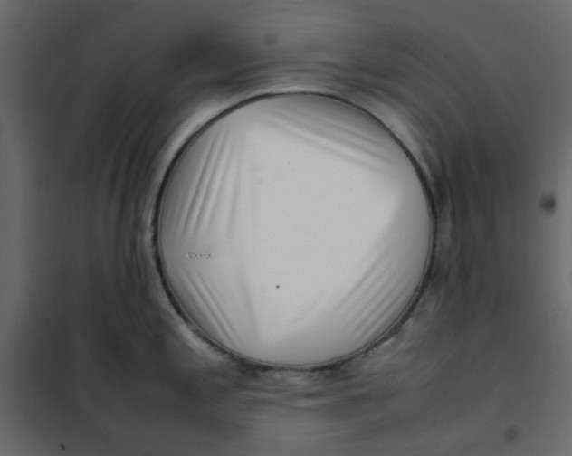 X0000101991197200808081627