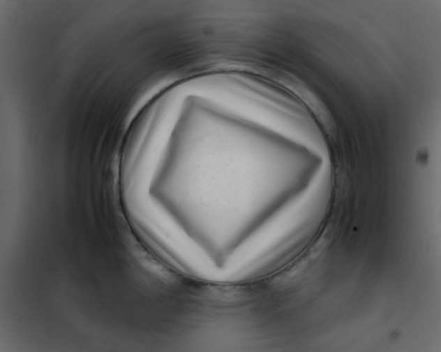 X0000101991198200808081627