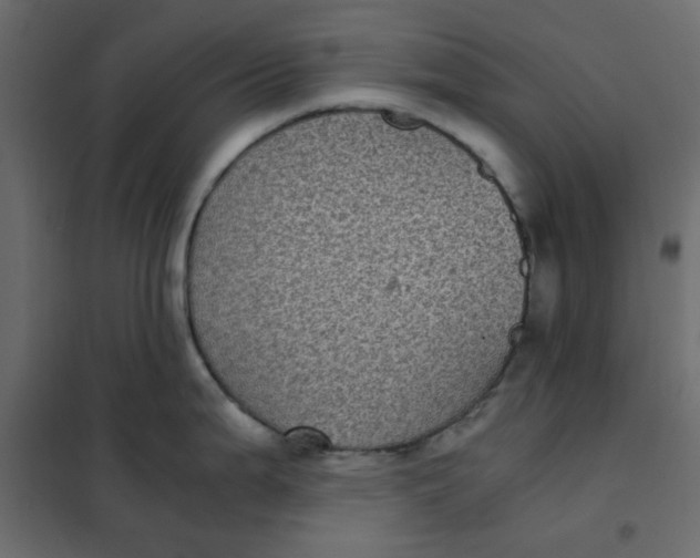 X0000101991199200808081627