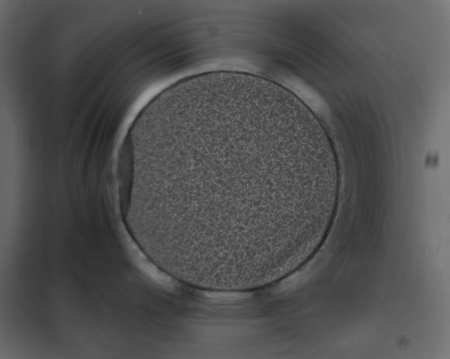 X0000101991200200808081627