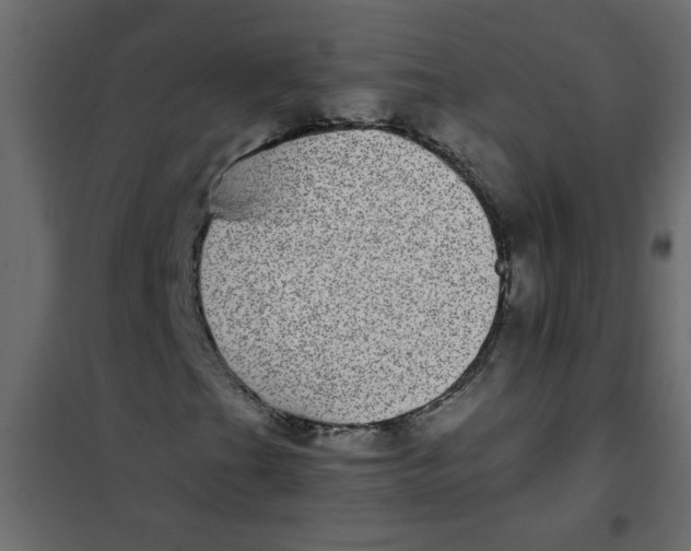 X0000101991201200808081626