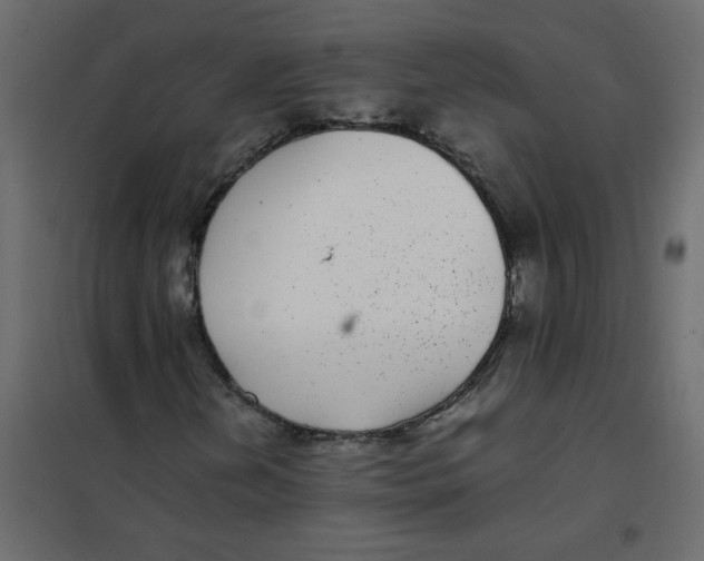 X0000101991202200808081626