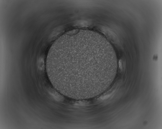 X0000101991203200808081626