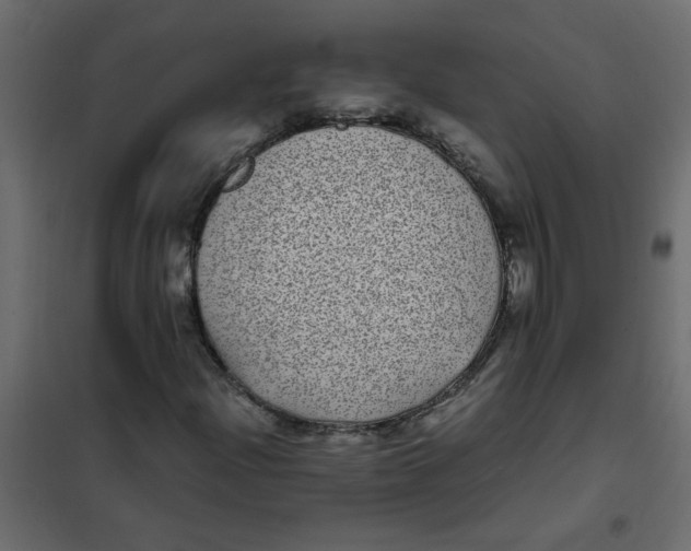 X0000101991204200808081626