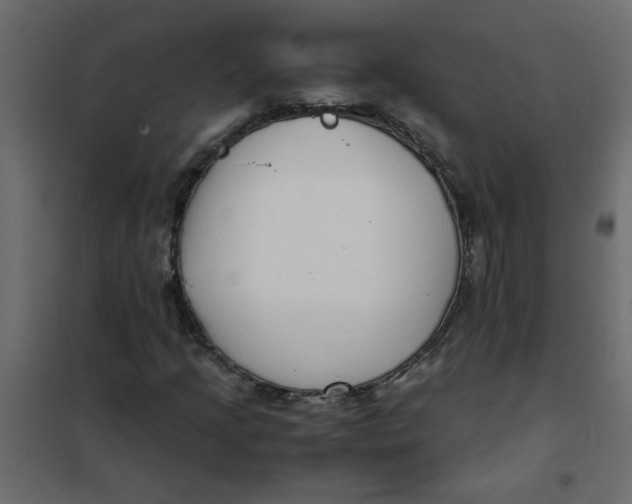 X0000101991205200808081626