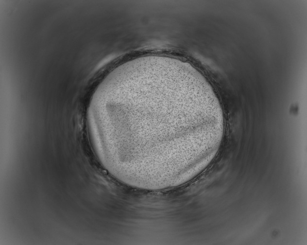 X0000101991206200808081626