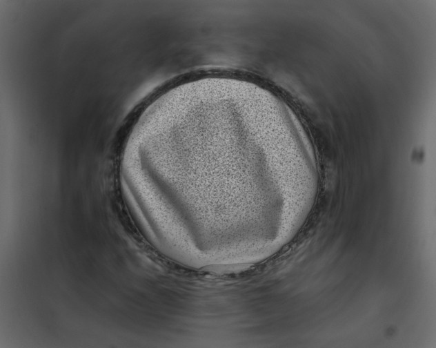 X0000101991208200808081626