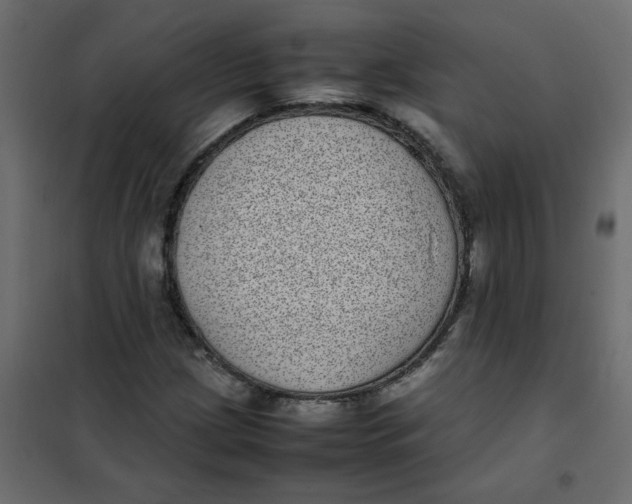 X0000101991209200808081626