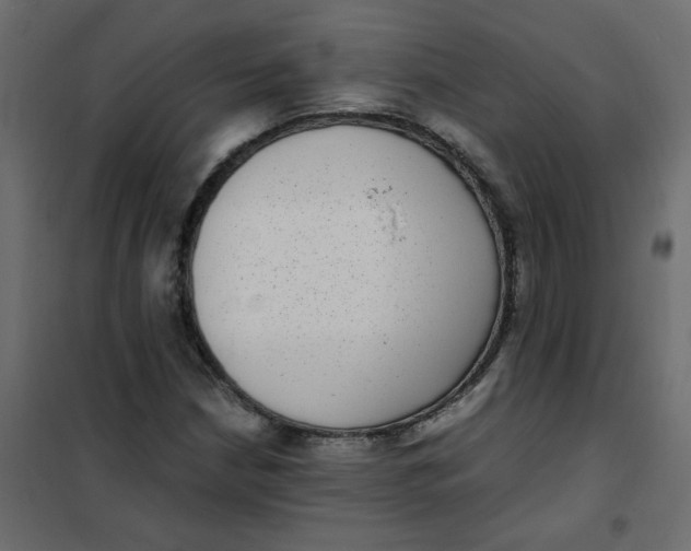 X0000101991210200808081626